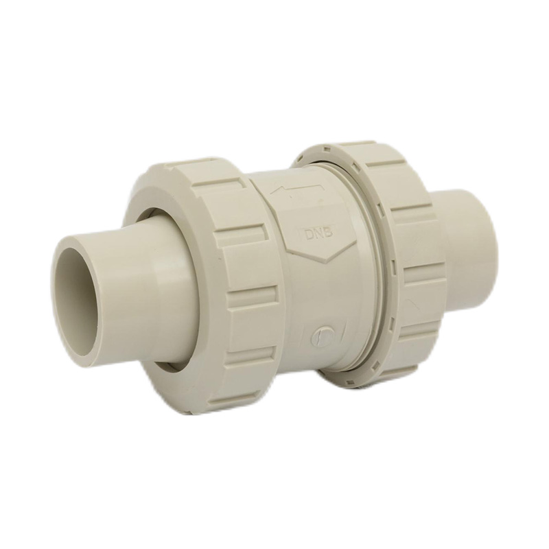 PPH H61F-10S 熱熔對焊止回閥 DN50國標